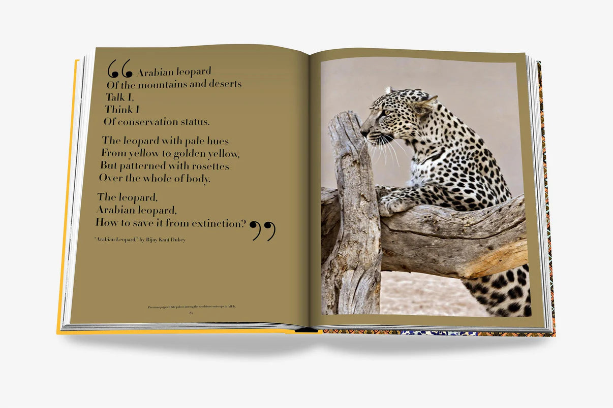 Arabian Leopard