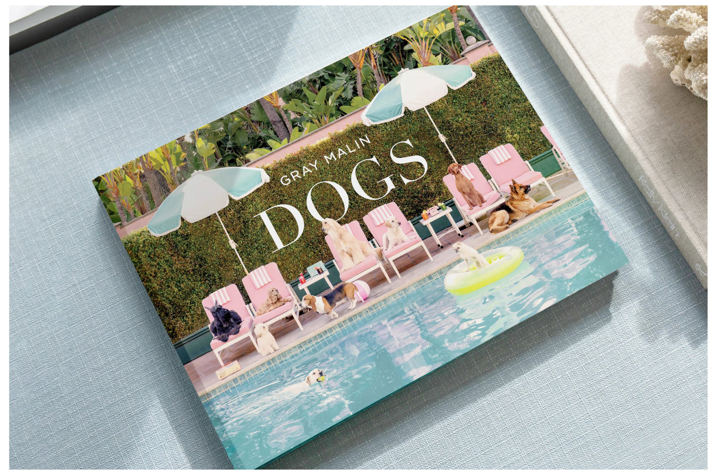 Dogs