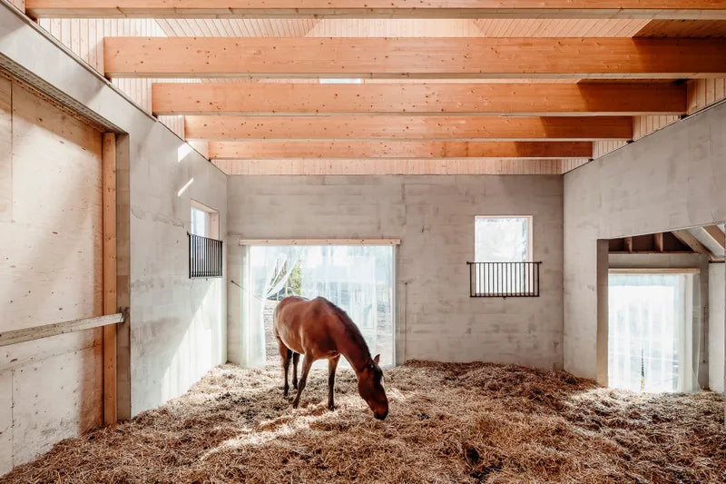 Stables