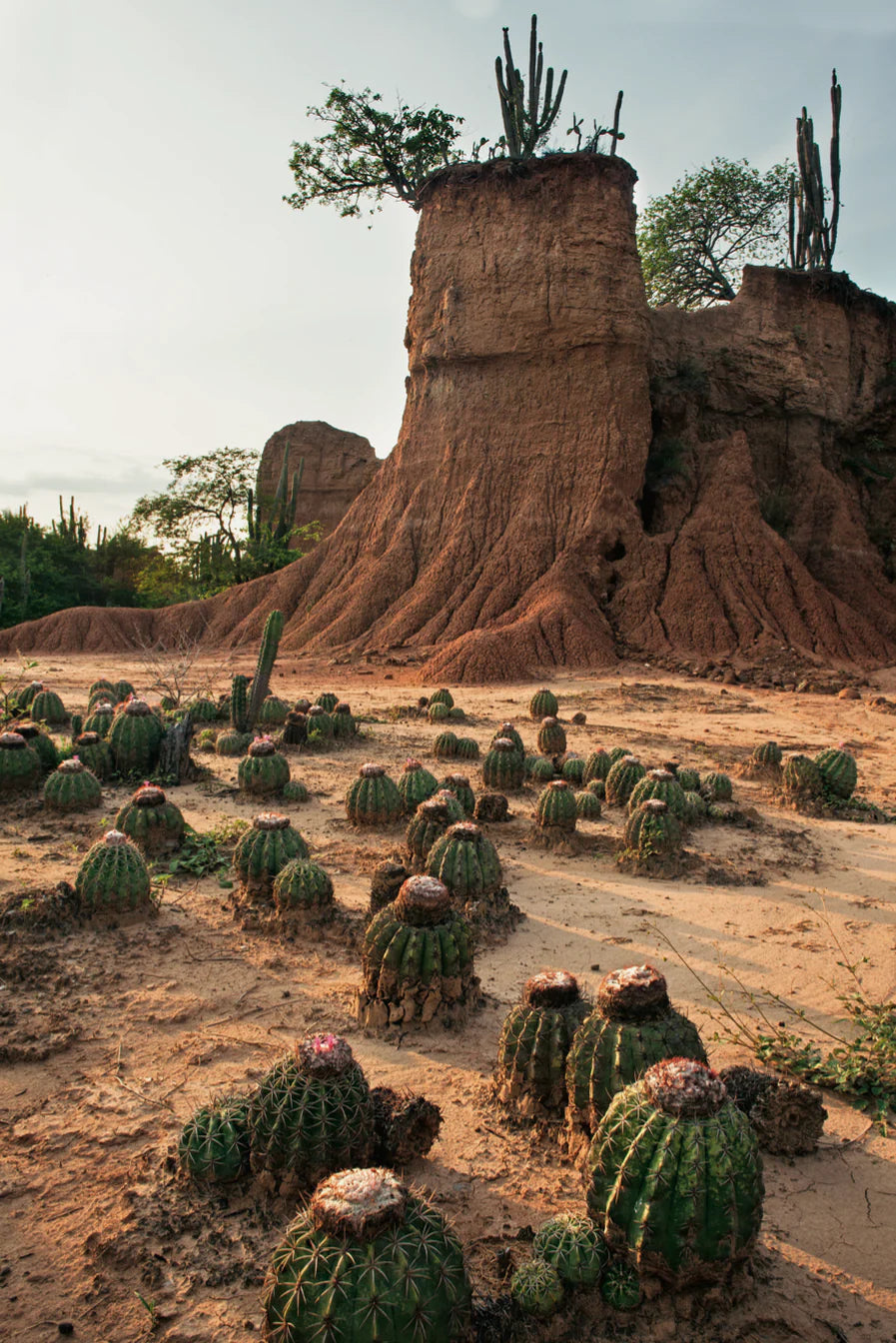 Tierra Colombiana