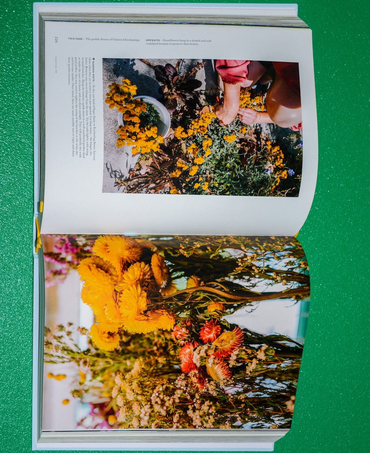 Super bloom