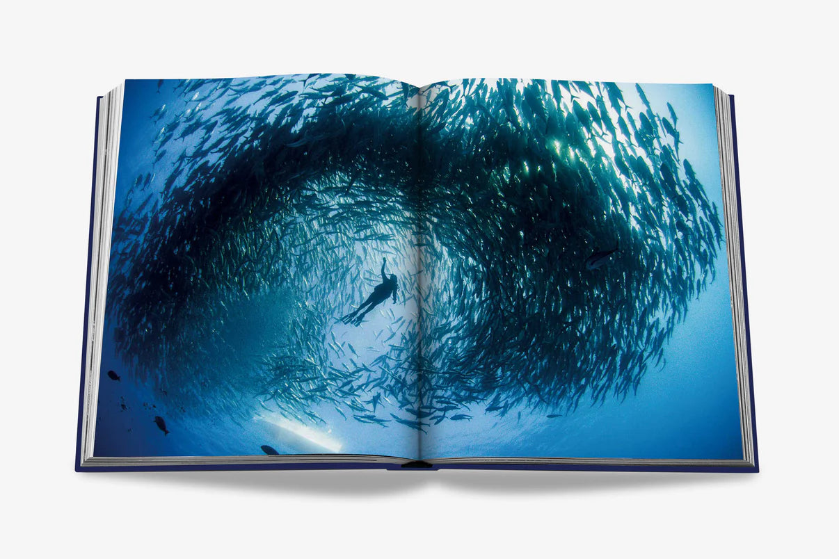 Ocean