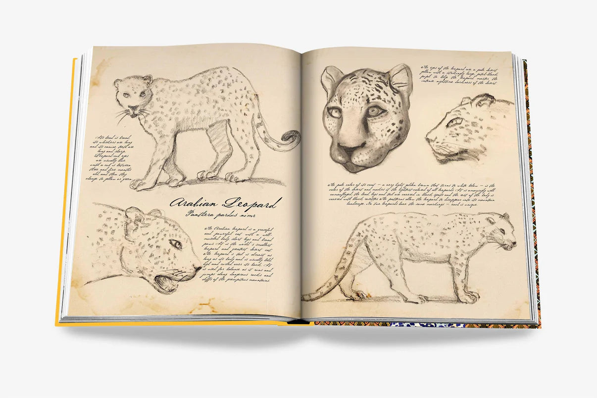 Arabian Leopard