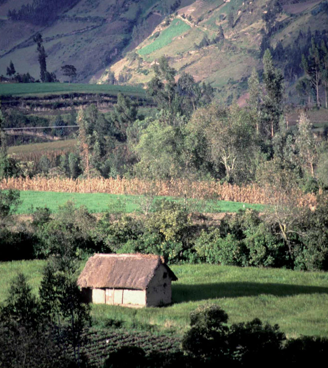 Casa Campesina