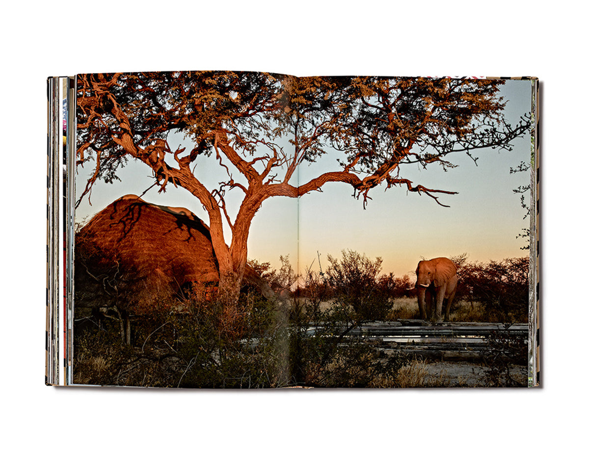 Safari Style