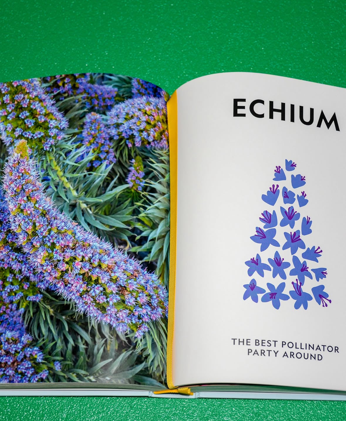 Super bloom