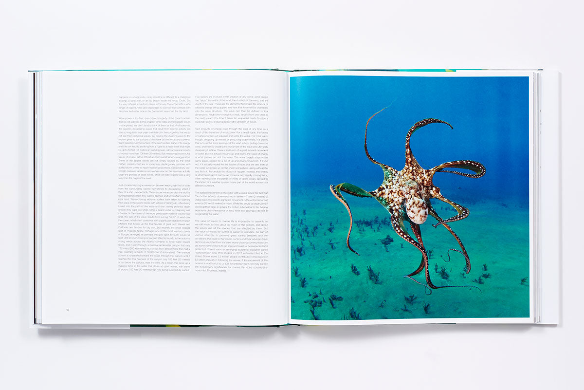 The life and love of the sea