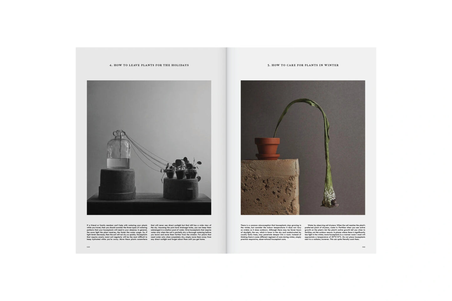 Kinfolk Garden
