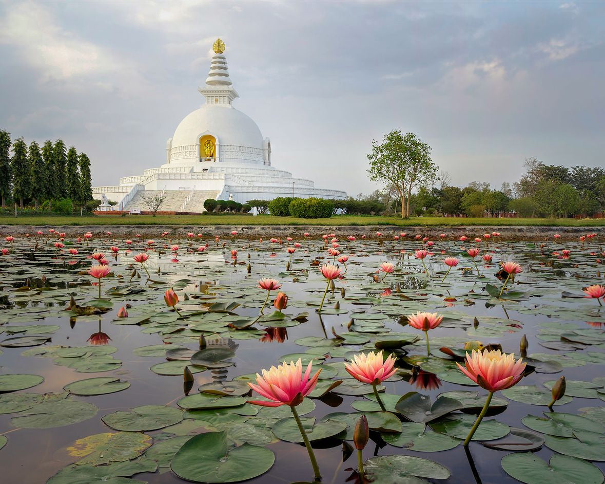 The wellness bucket list