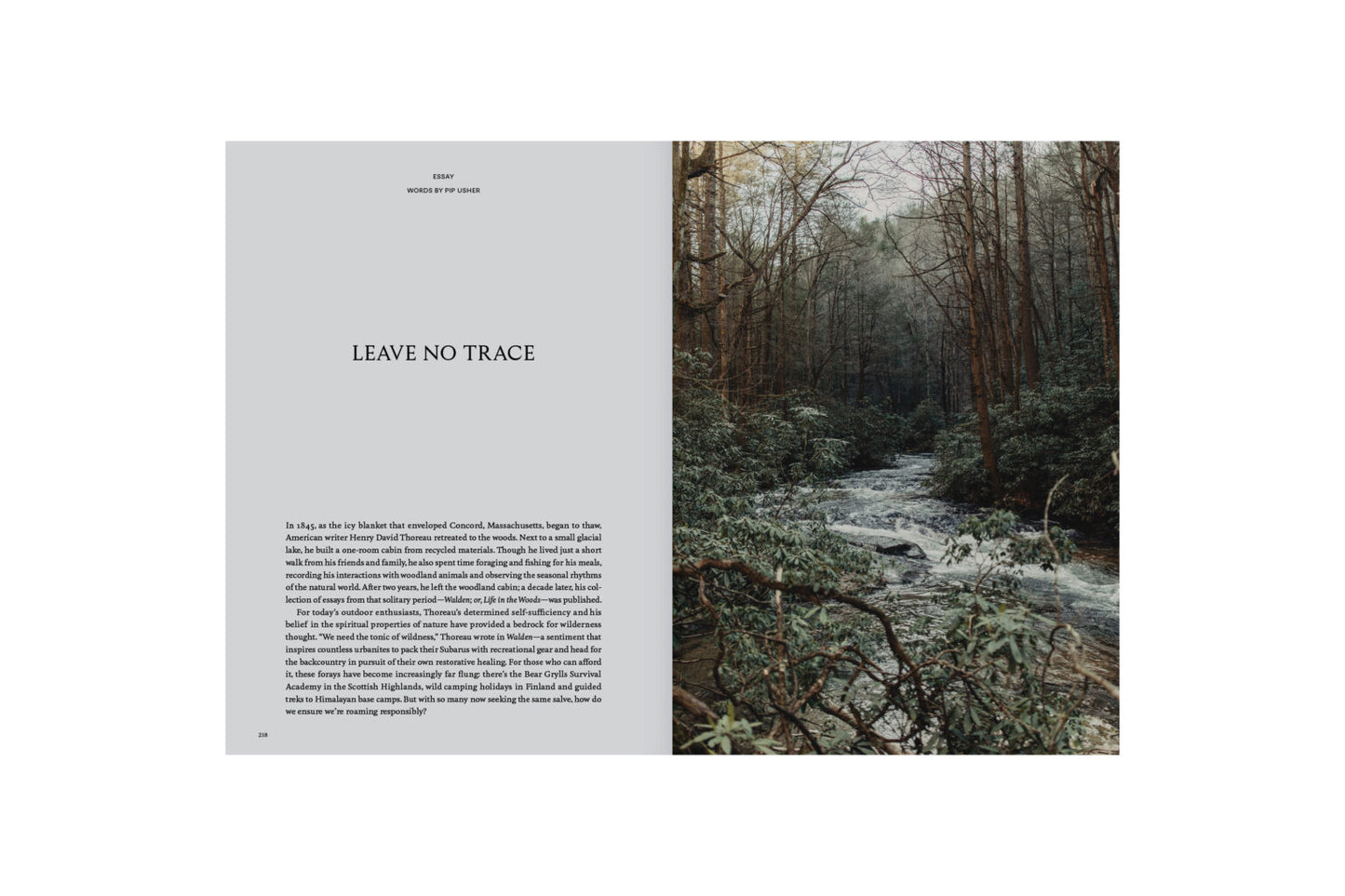 Kinfolk Travel