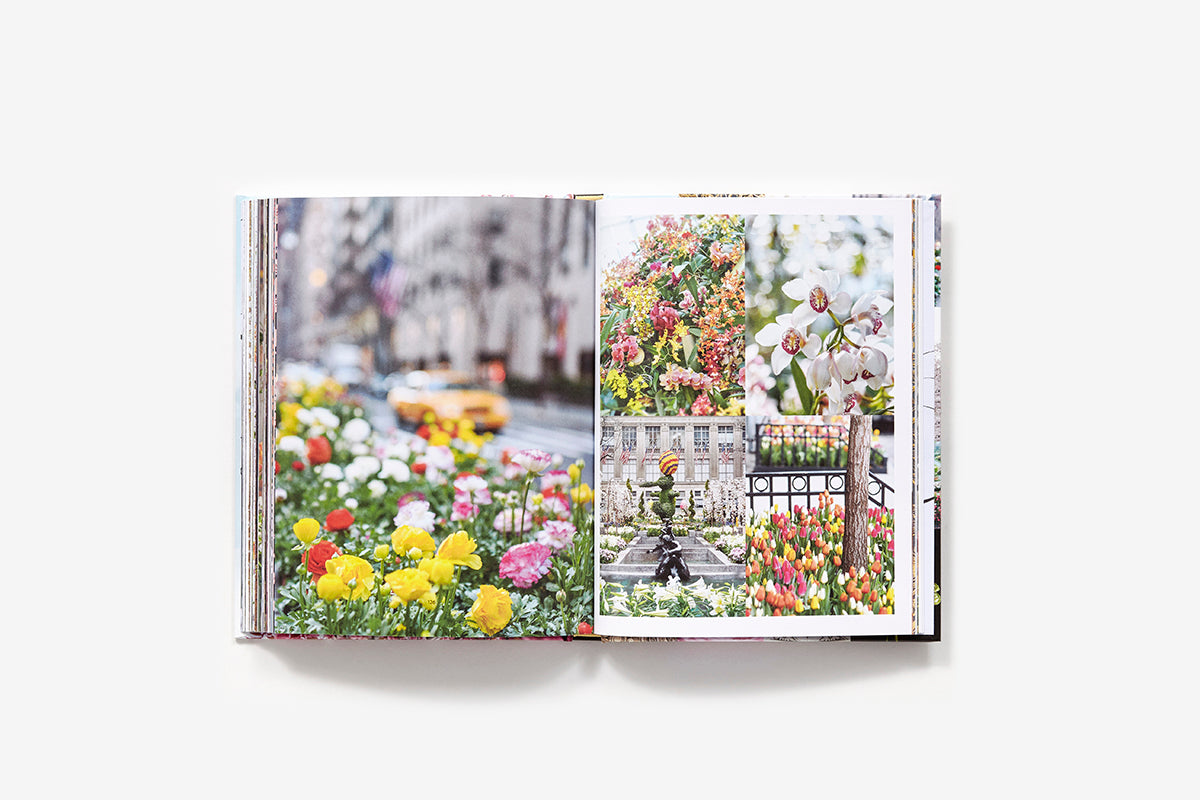 New York Bloom