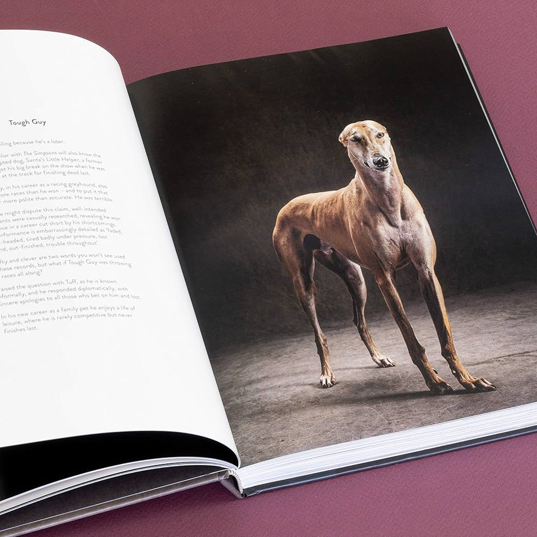 The Year of the Dog