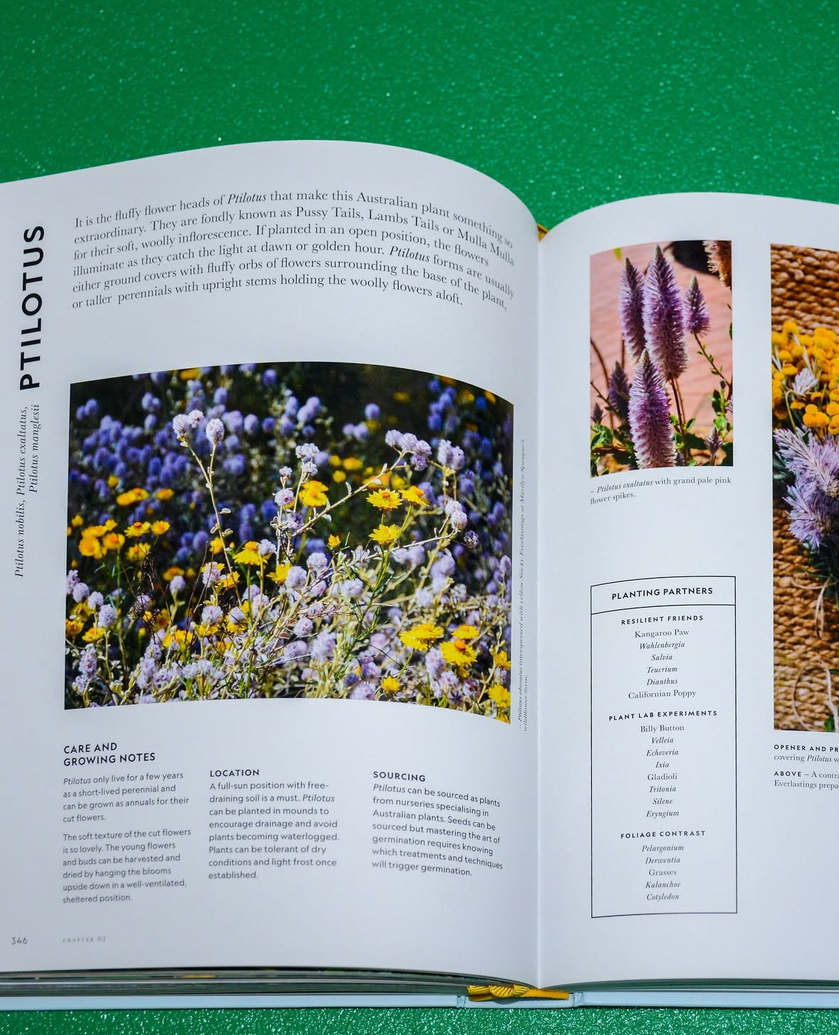 Super bloom