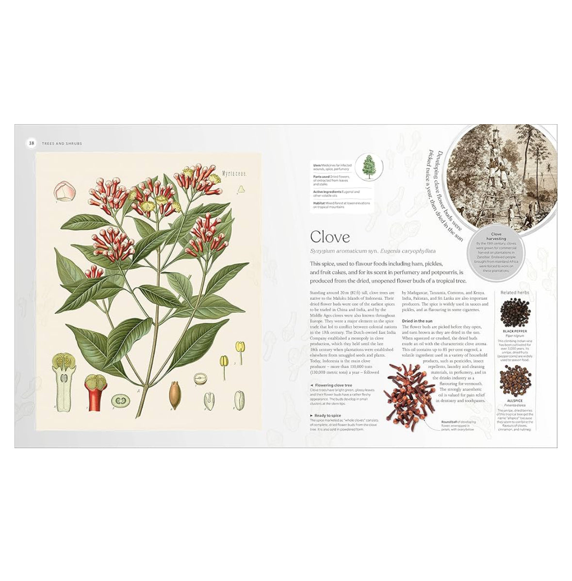 The herb book
