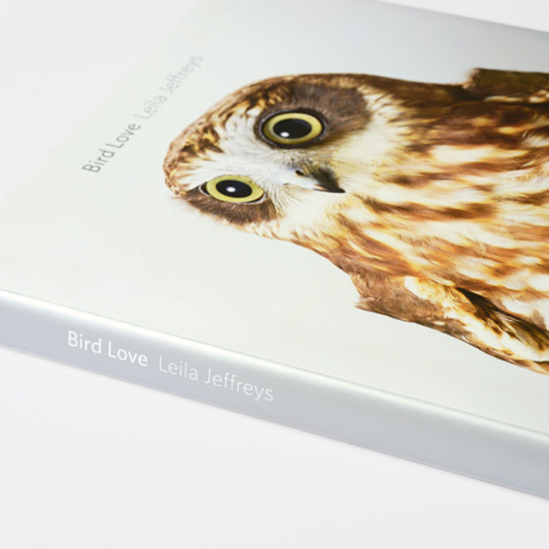 Bird Love