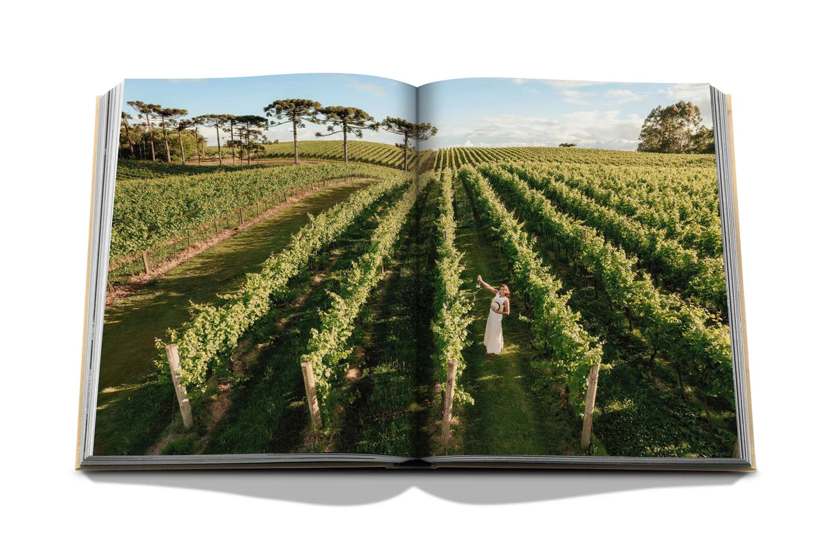 Latin America Wine and Travel