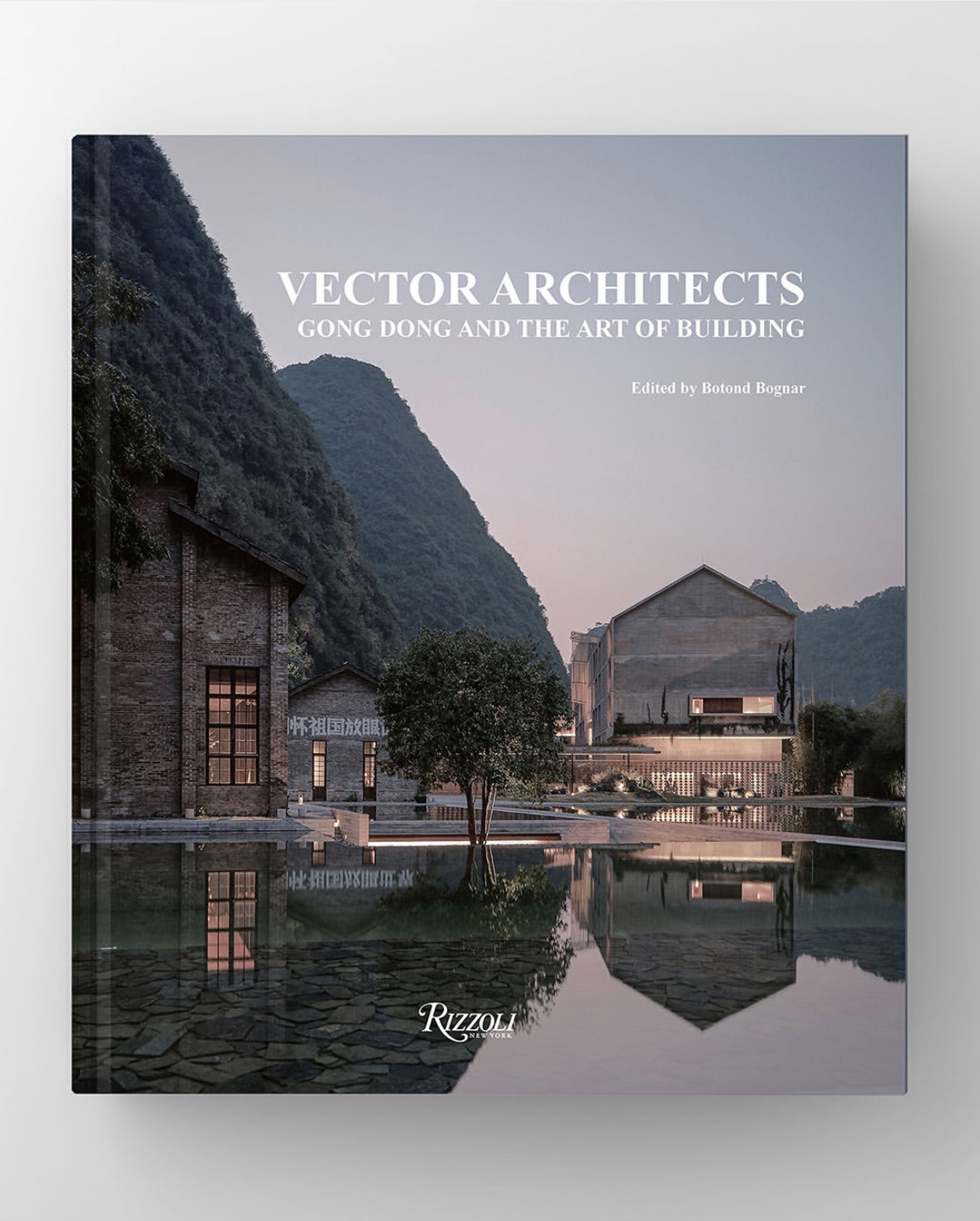 Vector Architecture