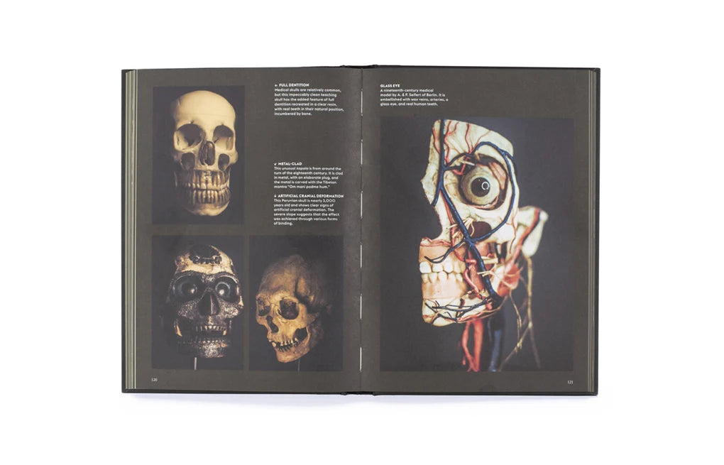 Skulls