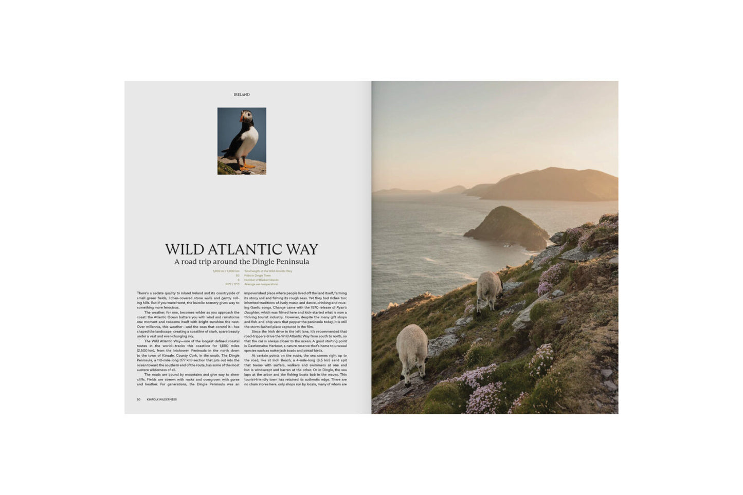 Kinfolk Wilderness