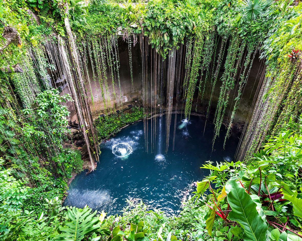 The wellness bucket list