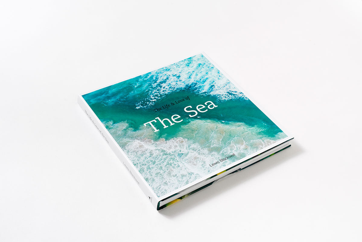 The life and love of the sea