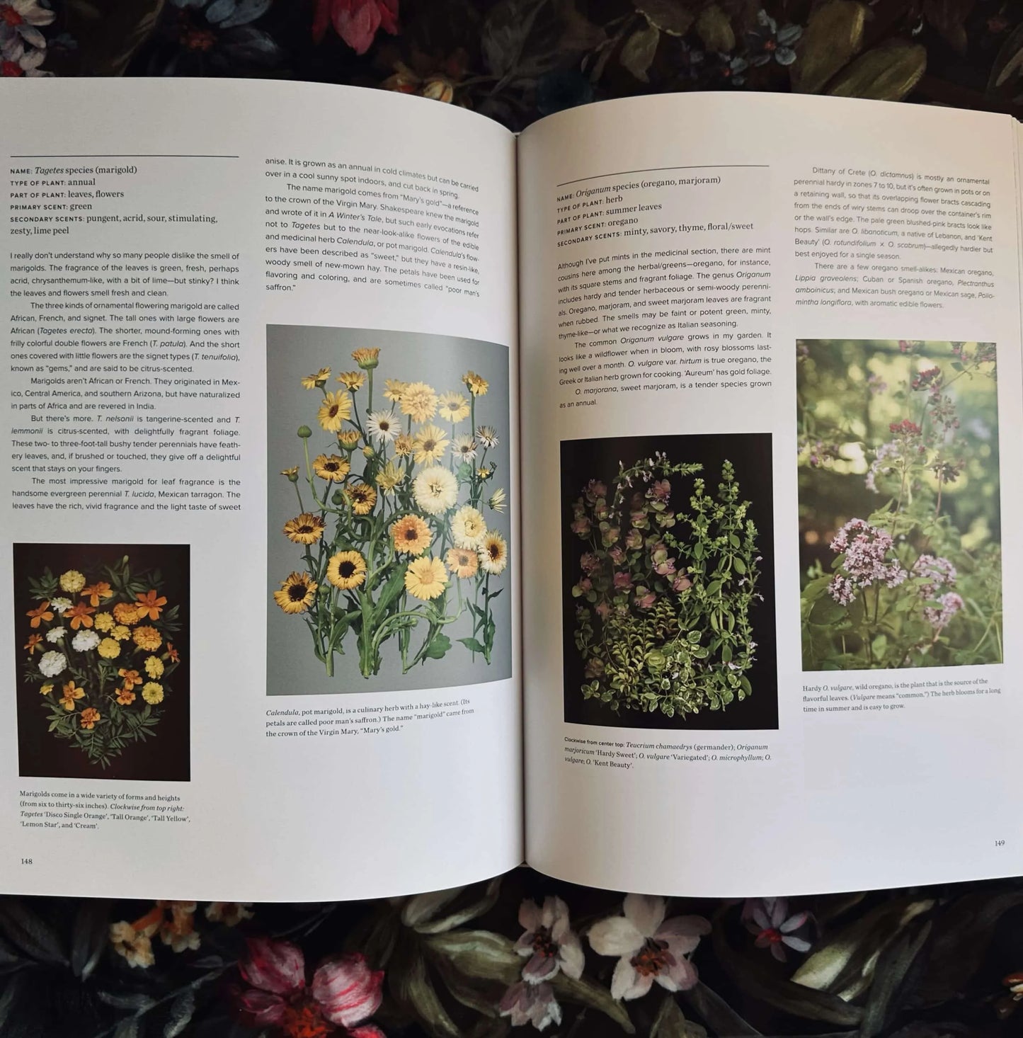 The Scentual Garden