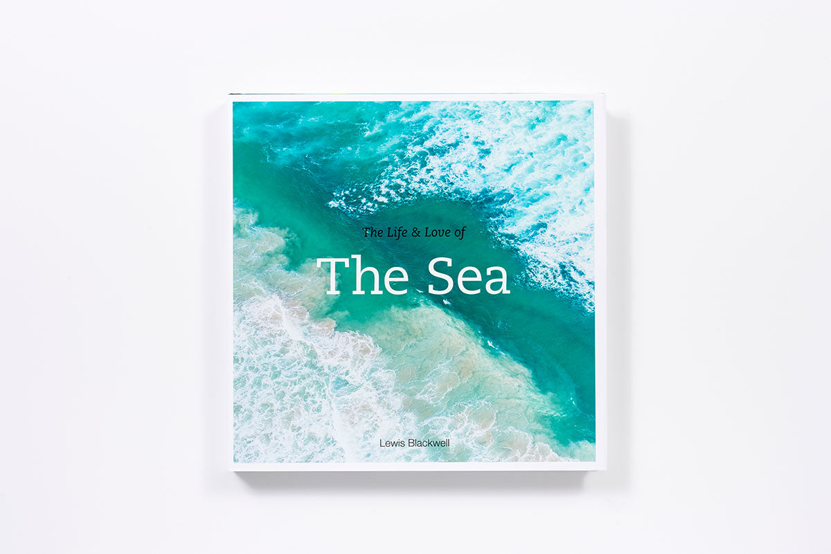 The life and love of the sea