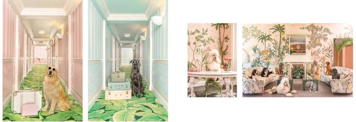 Dogs