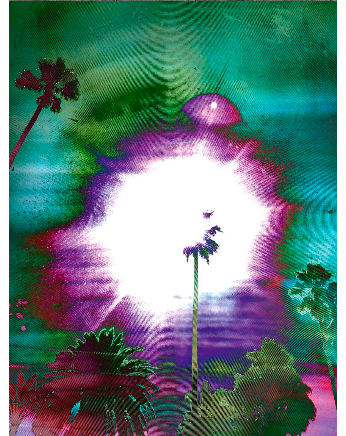 Decoding Palm culture