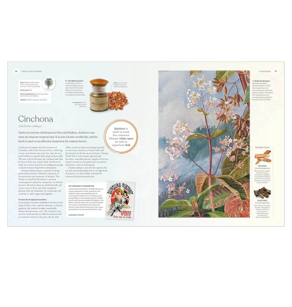 The herb book