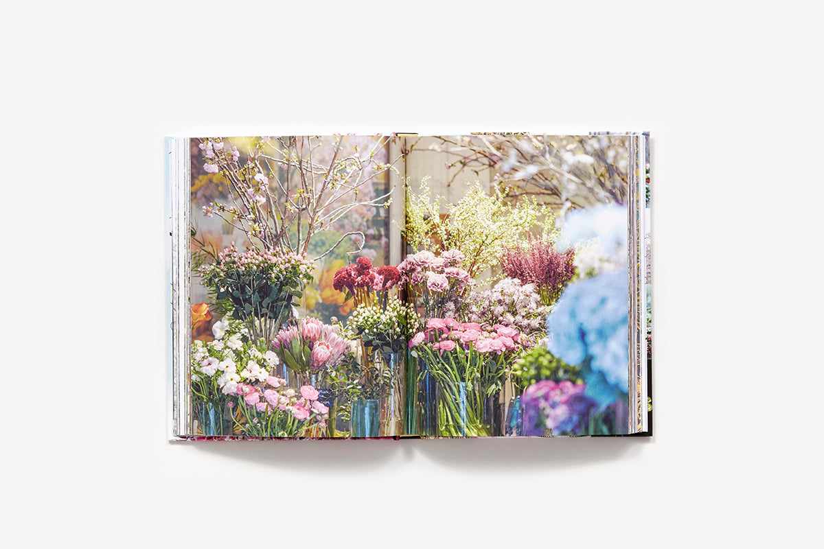 New York Bloom
