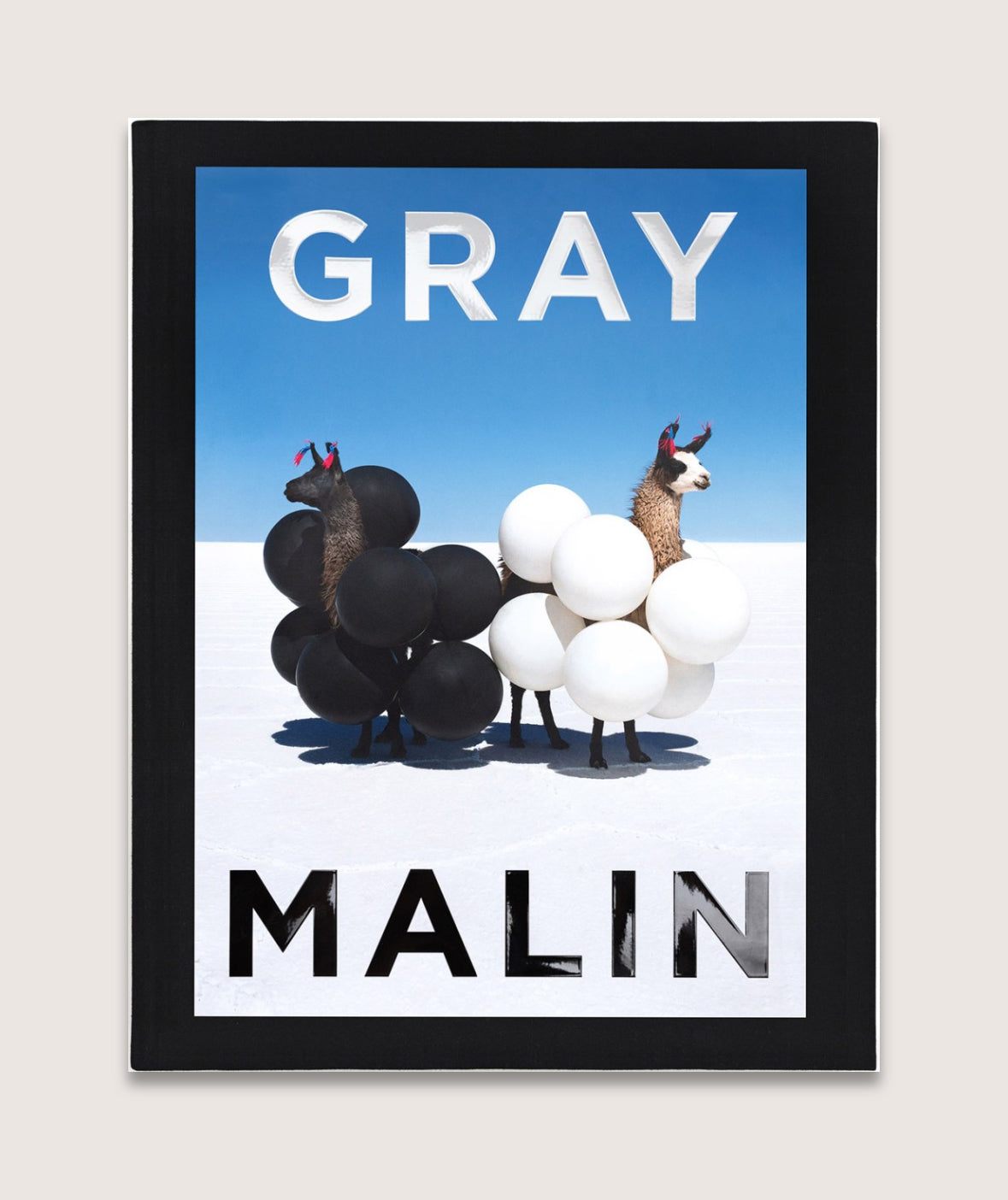 Gray Malin