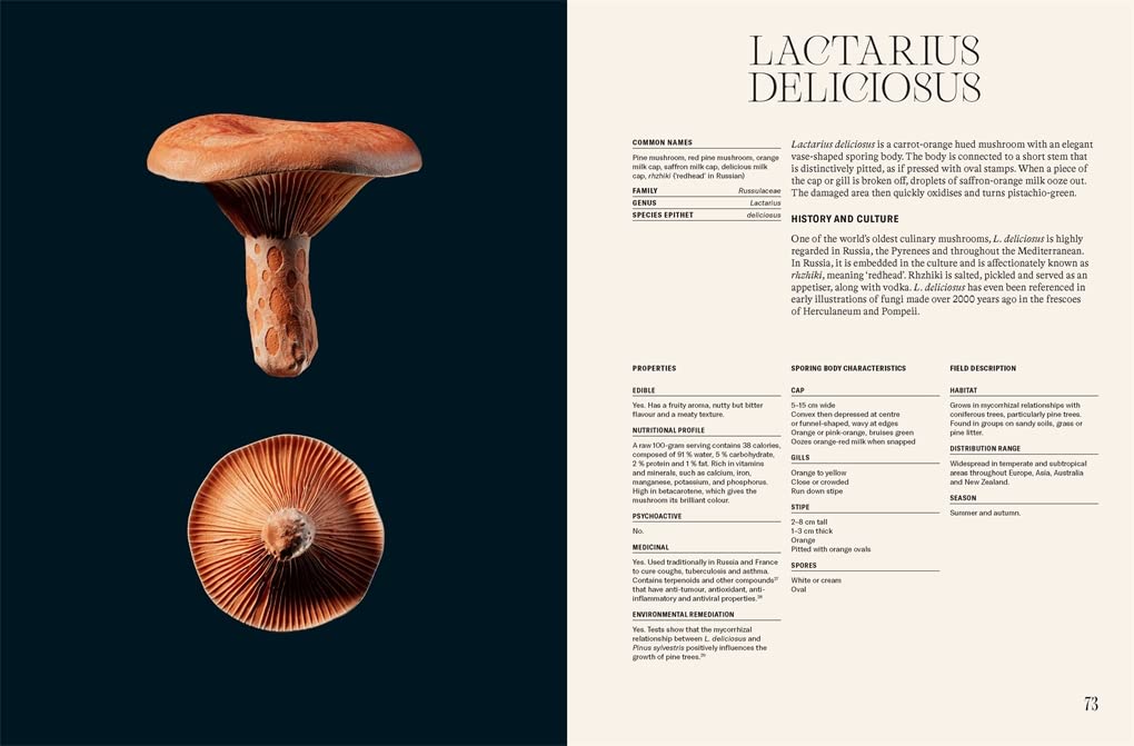 The future is fungi