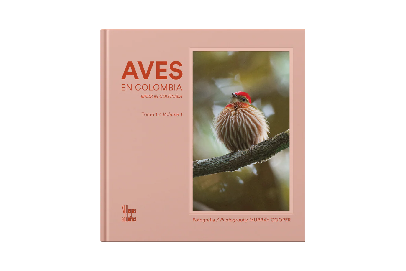 Aves Colombia