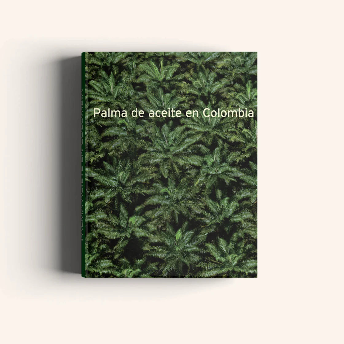 Palma de Aceite en Colombia