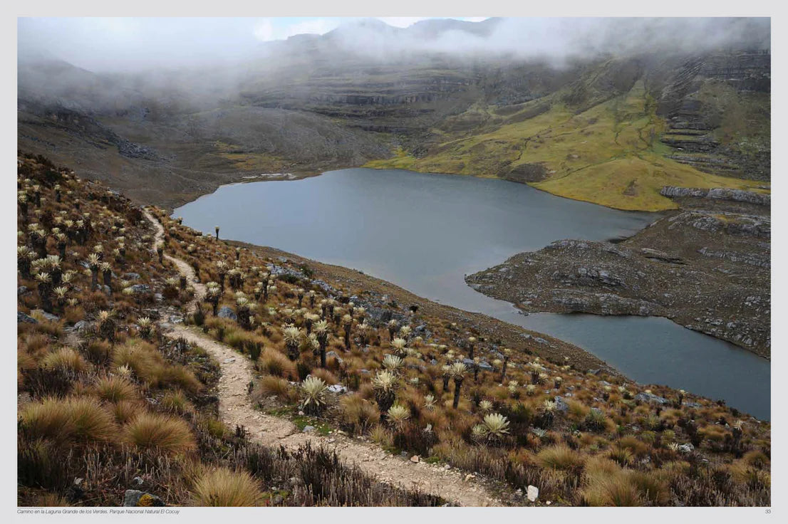 Trekking Colombia (En Inglés)