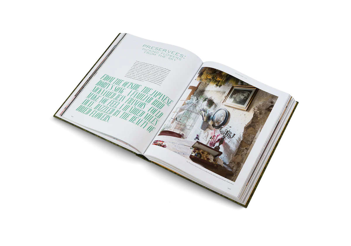 The beauty of time travel