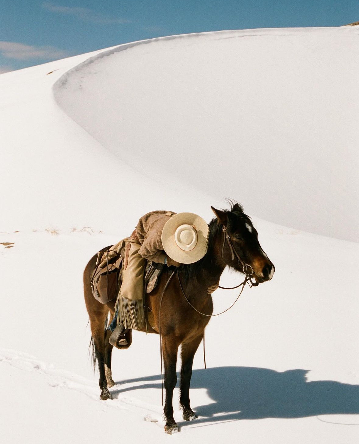 Ranchlands