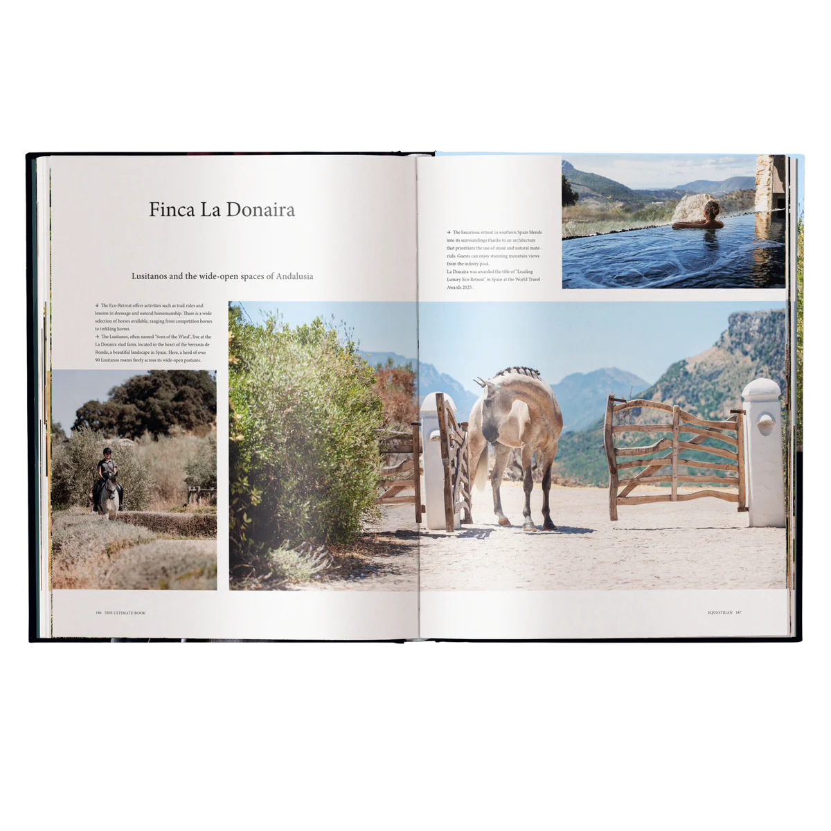The Ultimate Book Equestrian