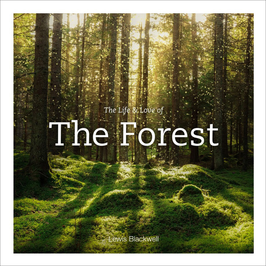 The life and love of the forest