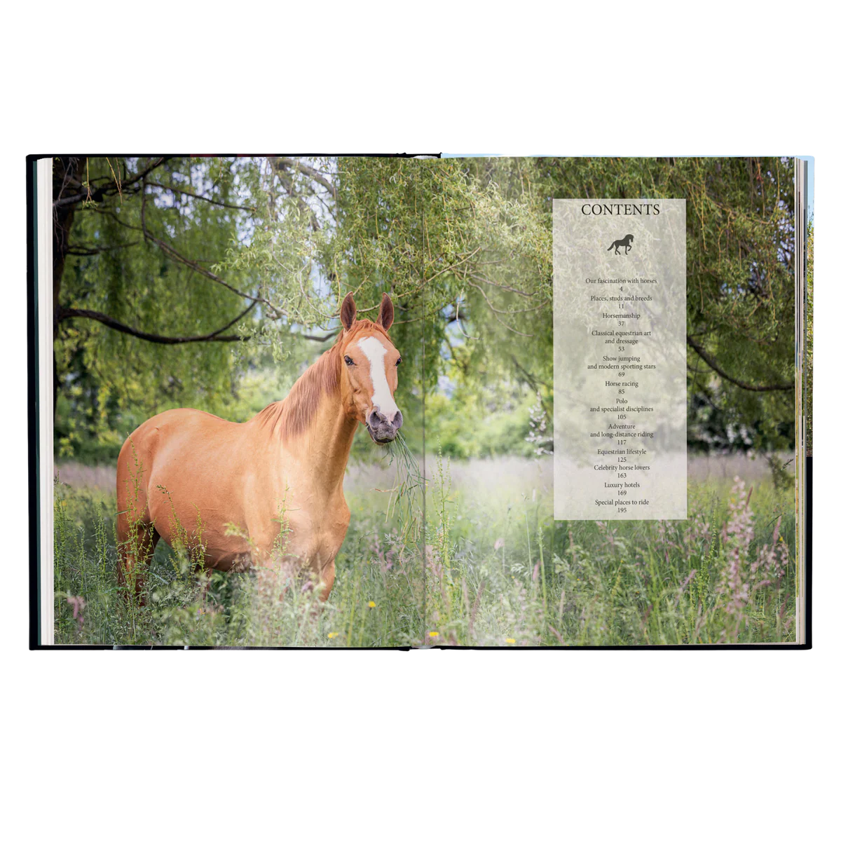The Ultimate Book Equestrian