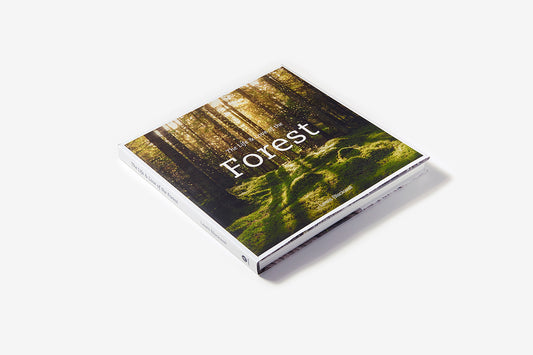 The life and love of the forest