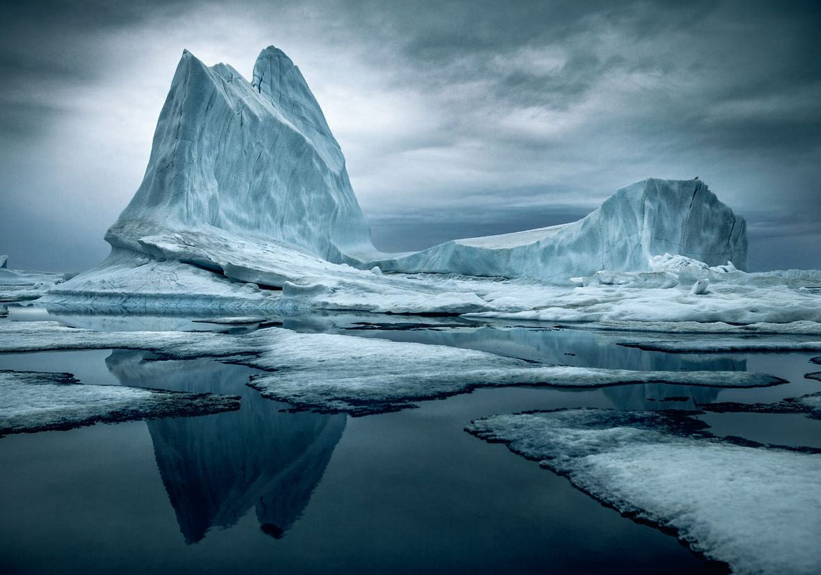 The arctic