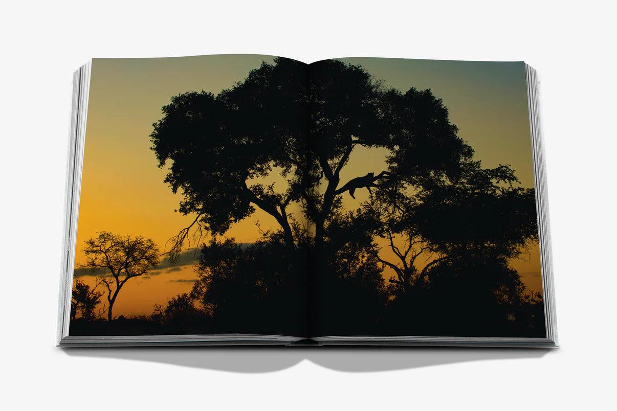 Londolozi