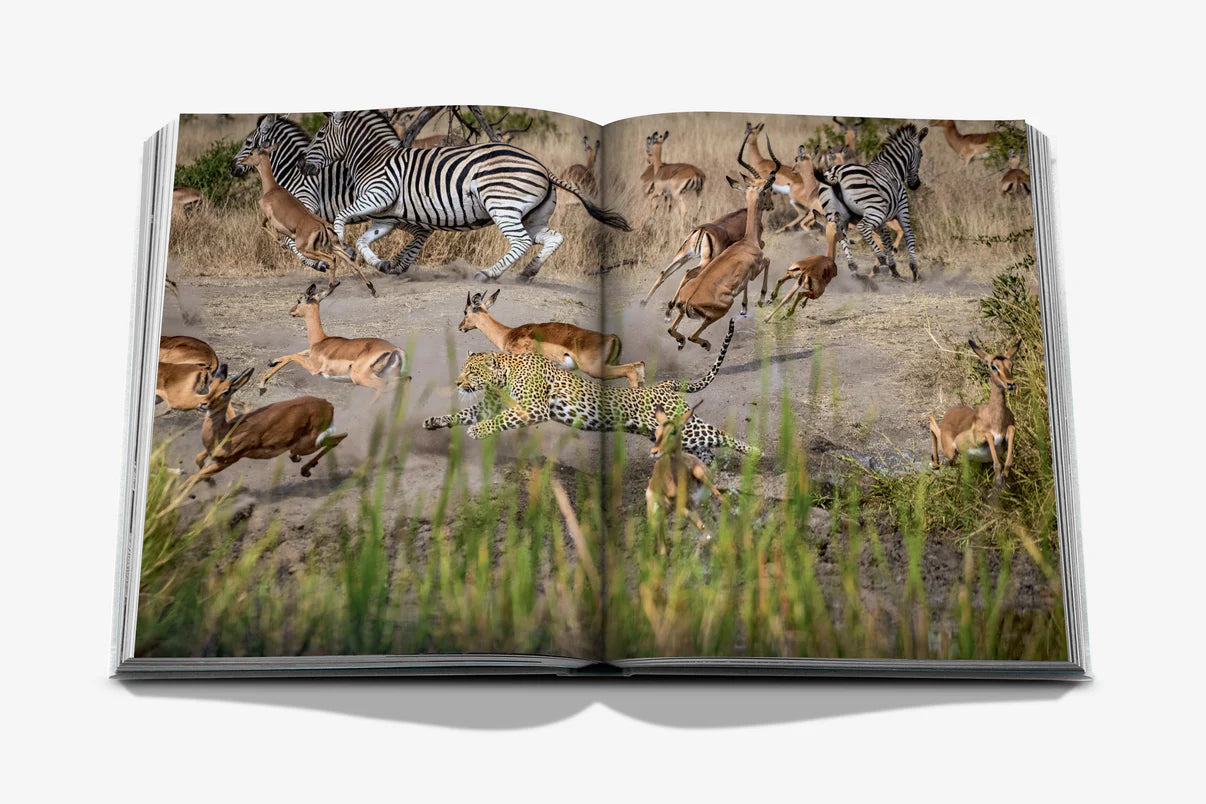 Londolozi