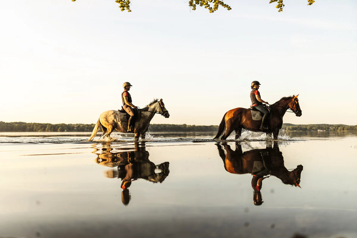 The Ultimate Book Equestrian