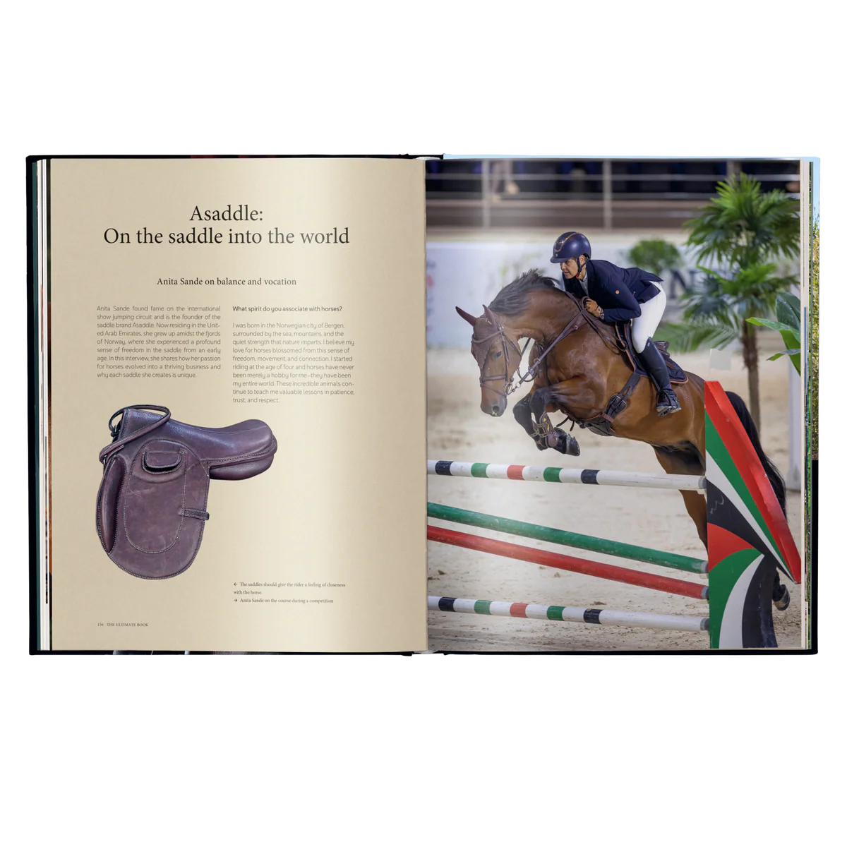 The Ultimate Book Equestrian