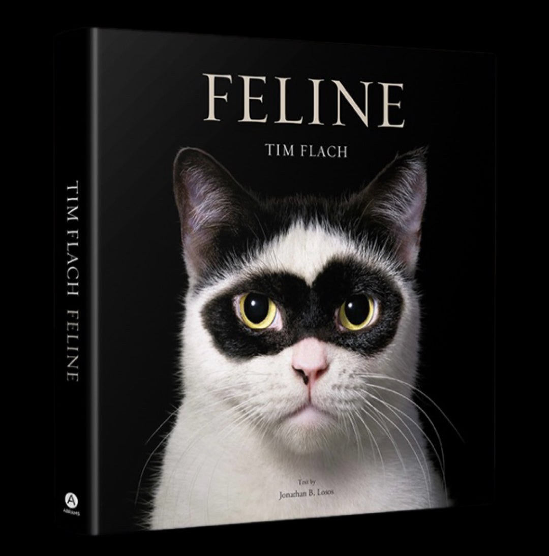 Feline