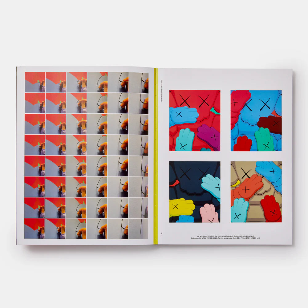 Kaws What Party
