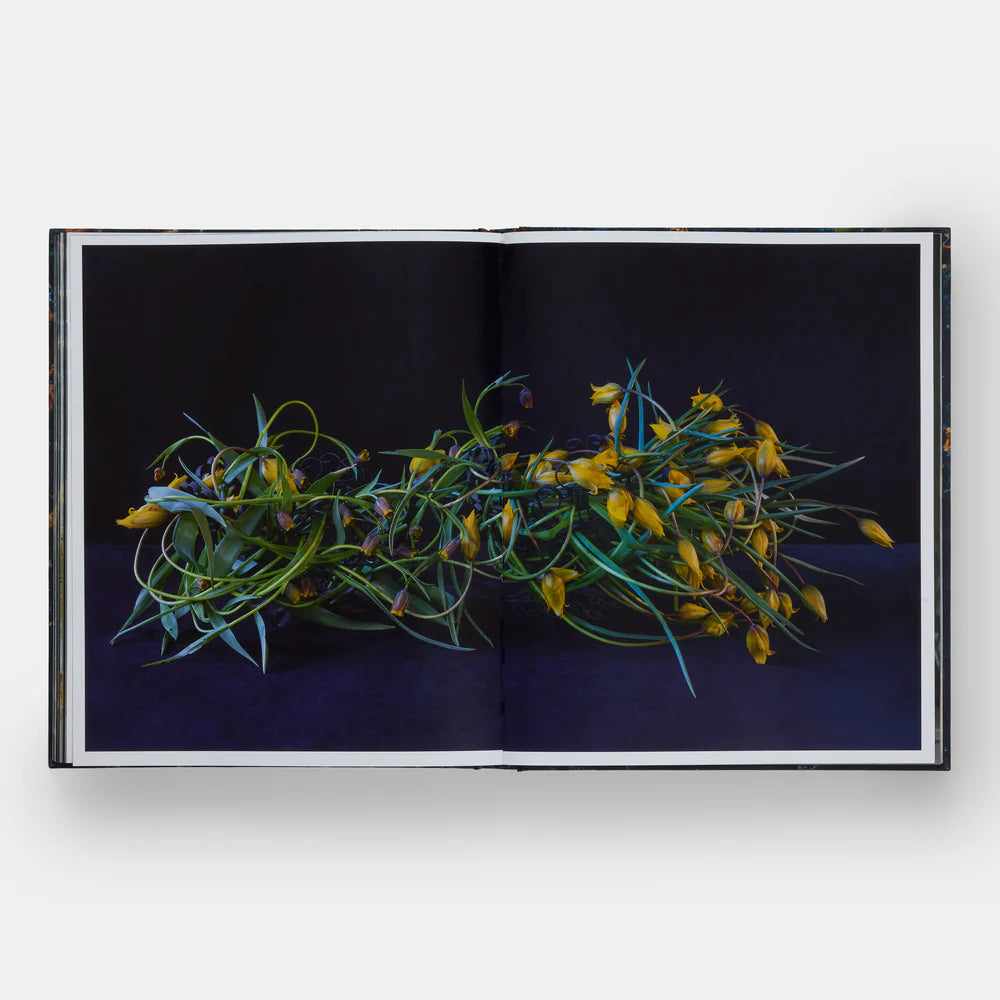 Flowers Emily Thompson